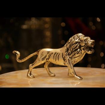 شیر وحشی متوسط