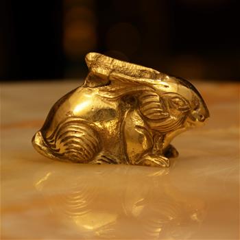 خرگوش خوابیده